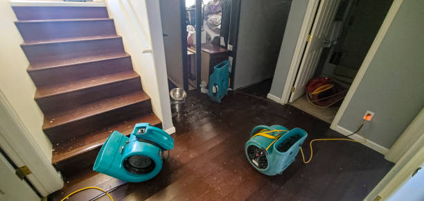 Best Mold removal after water damage  in Laurel, VA
