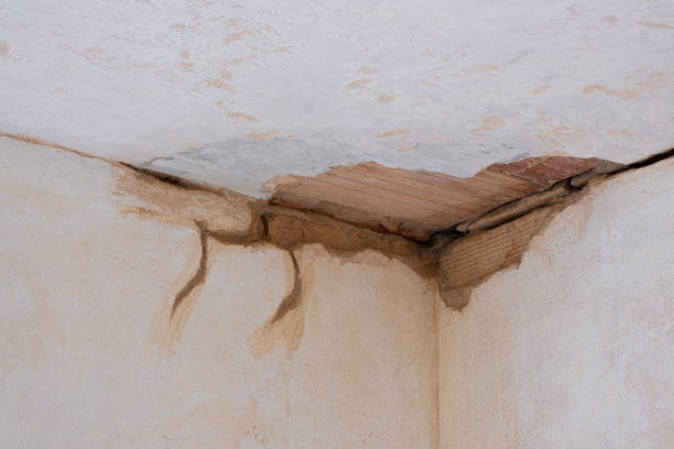 Best Water damage restoration near me  in Laurel, VA