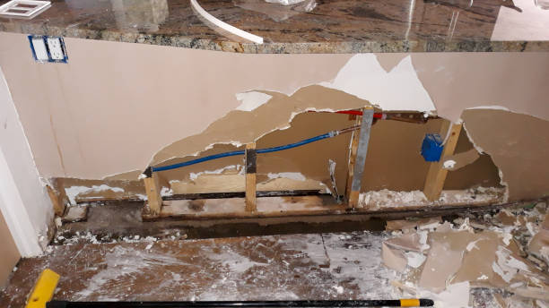 Best Local water damage restoration  in Laurel, VA