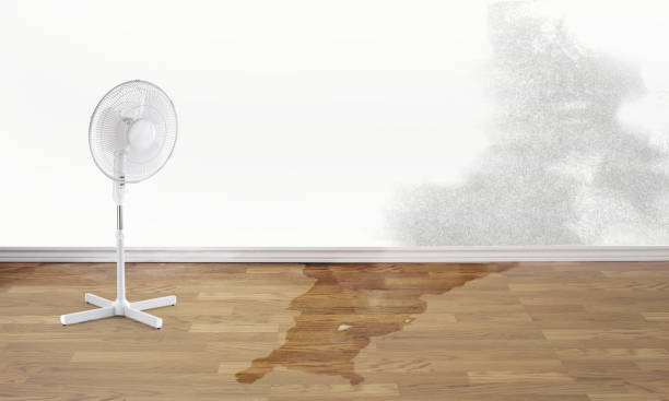  Laurel, VA Water damage restoration Pros