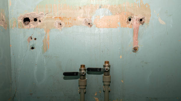 Best Emergency water damage restoration  in Laurel, VA