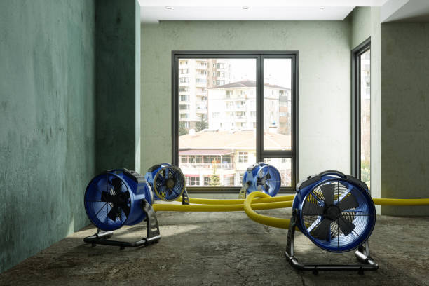 Best Flood restoration services  in Laurel, VA
