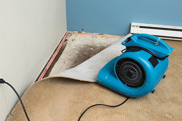 Best Flood damage cleanup  in Laurel, VA