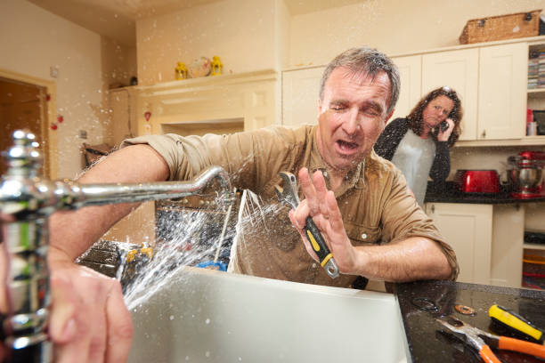 Best Carpet water damage restoration  in Laurel, VA